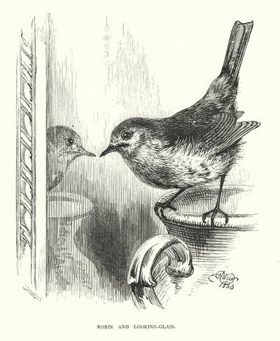 Robin y el espejo de Harrison William Weir