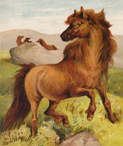 Ponis de Shetland (litografía en color) de Harrison William Weir