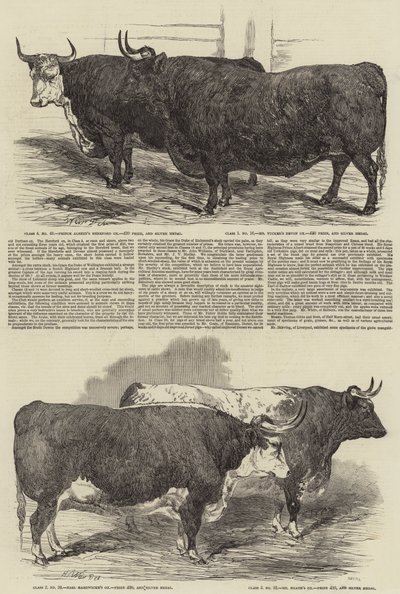 La exposición anual del Club Smithfield de Harrison William Weir