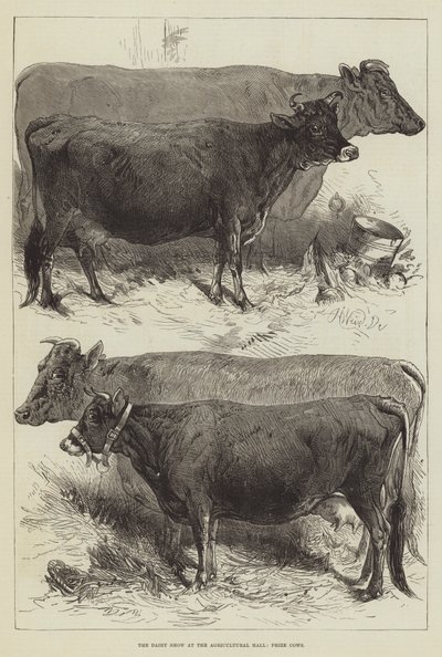 La Feria de Productos Lácteos en el Salón Agrícola, Vacas Premiadas de Harrison William Weir