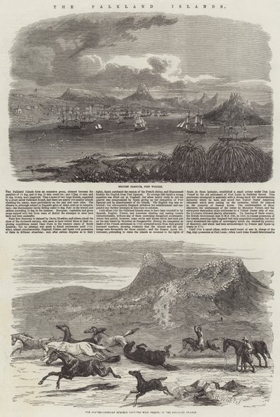 Las Islas Malvinas de Harrison William Weir