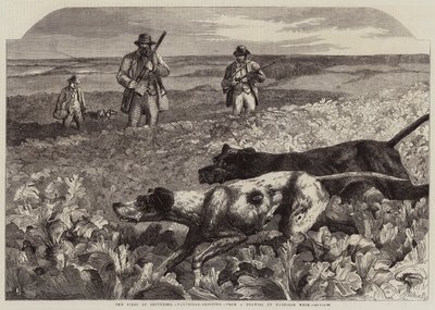 El primero de septiembre, caza de perdices de Harrison William Weir
