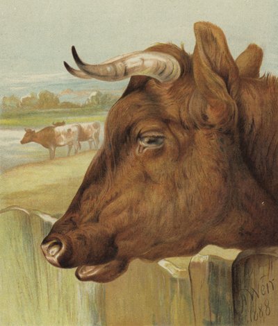 El amigo de la guardería de Harrison William Weir