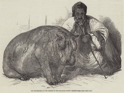 El hipopótamo, en los jardines de la Sociedad Zoológica, Regent