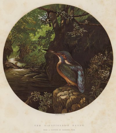 El Refugio del Martín Pescador de Harrison William Weir