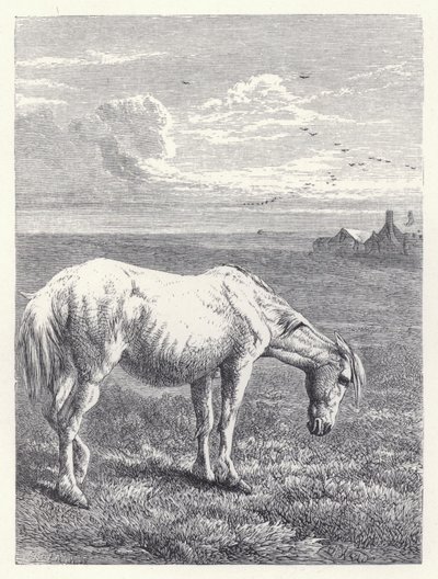 El viejo caballo de Harrison William Weir