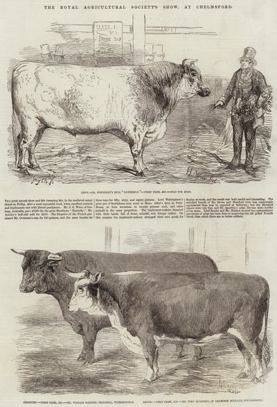 Exposición de la Real Sociedad Agrícola, en Chelmsford de Harrison William Weir