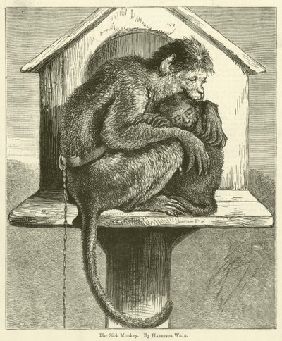 El Mono Enfermo de Harrison William Weir