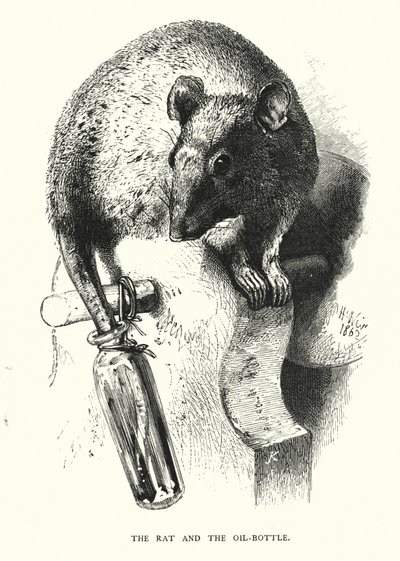 La rata y la botella de aceite de Harrison William Weir