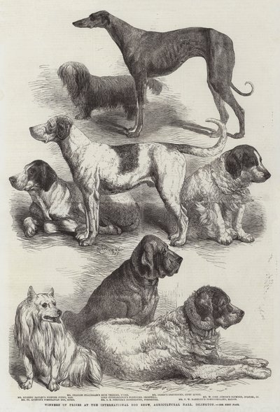 Ganadores de premios en la Exposición Internacional de Perros, Salón Agrícola, Islington de Harrison William Weir