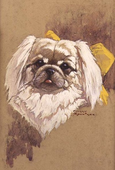 Reina de las Nieves de Harry Rountree