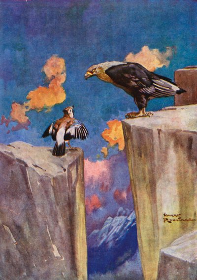 El arrendajo y el ruiseñor (litografía en color) de Harry Rountree