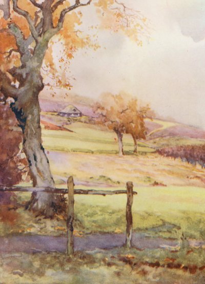 Campos de golf: Broadstone, el cuarto hoyo (litografía en color) de Harry (1878 1950) Rountree