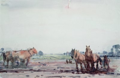 Caballos de arado de Harry Becker