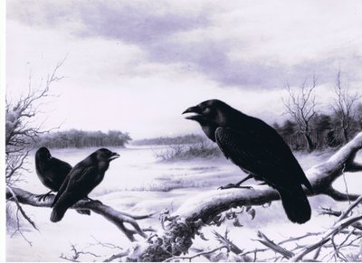 Cuervos en invierno de Harry Bright
