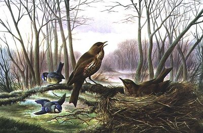 El heraldo de la primavera de Harry Bright