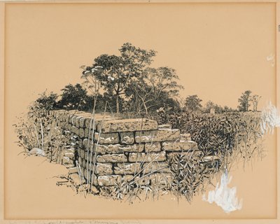 Esquina del cementerio confederado de Harry Fenn