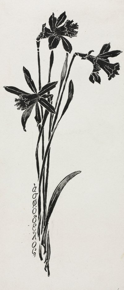Narcisos de Harry Fenn