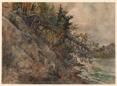 Lago Memphremagog, c. 1880s de Harry Fenn
