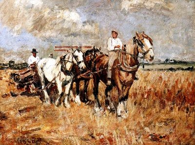 El arado de Harry Fidler