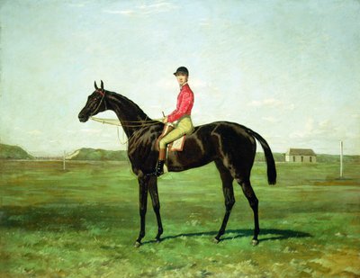 Un caballo de carreras con un jinete en el hipódromo de Newmarket (óleo sobre lienzo) de Harry Hall