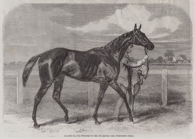 Caller Ou, el ganador del St Leger de Harry Hall