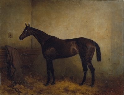Chaplet, una yegua de carreras baya en un box suelto, c.1877 de Harry Hall