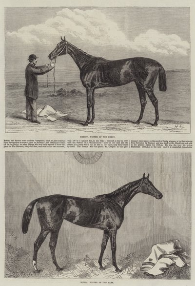 Caballo de carreras de Harry Hall