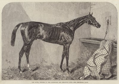 El Duque, ganador de las Copas de Goodwood y Brighton de Harry Hall