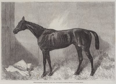 El Marqués, ganador de las Two Thousand Guineas Stakes en Newmarket de Harry Hall