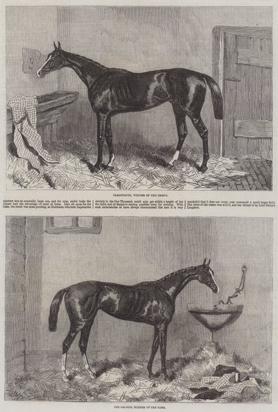 Ganadores del Derby y Oaks de Harry Hall