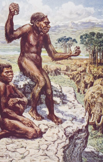 Humanidad Neandertal, ilustración de 