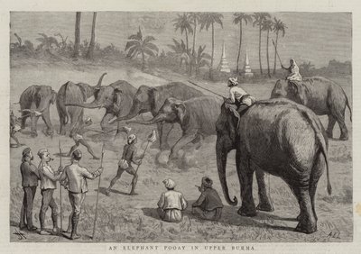 Un elefante Pooay en la Alta Birmania de Harry Hamilton Johnston