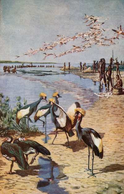 Las costas del norte del lago Chad, vistas por Denham en 1822 de Harry Hamilton Johnston