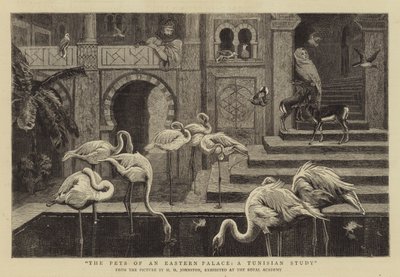 Las Mascotas de un Palacio Oriental, un Estudio Tunecino de Harry Hamilton Johnston