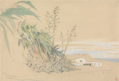 Aloes y chumberas, Tarragona, España de Harry John Johnson