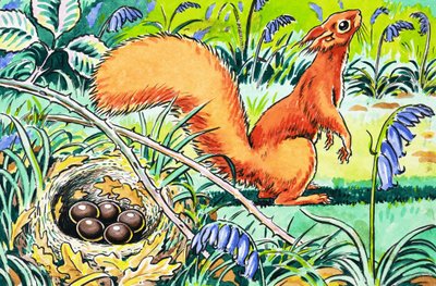Pequeña ardilla roja de Harry M. Pettit