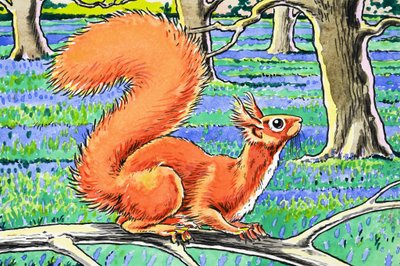 Pequeña ardilla roja de Harry M. Pettit