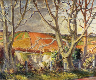 Cantera de Tiza de Dorset de Harry Morley