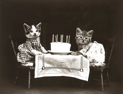 Serie Gatitos: Fiesta de cumpleaños, c.1914 (grabado en plata) de Harry Whittier Frees