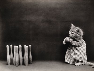 Serie Gatitos: Bolos, c.1914 (grabado en plata) de Harry Whittier Frees