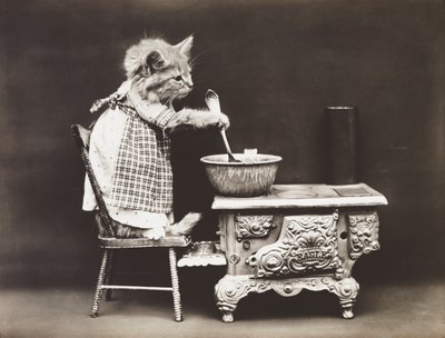 Serie Gatitos: Cook at the Stove, c.1914 (grabado en plata) de Harry Whittier Frees