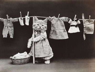 Serie Gatitos: Secando la ropa, c.1914 (grabado en plata) de Harry Whittier Frees