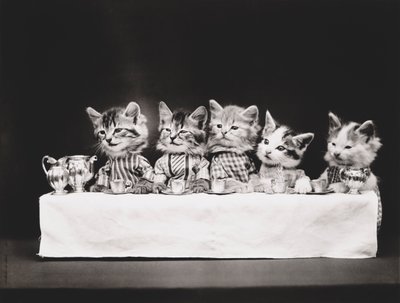 Serie Gatitos: Última Cena, c.1914 (grabado en plata) de Harry Whittier Frees