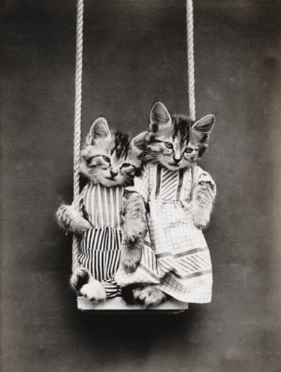 Serie Gatitos: En un columpio, c.1914 (grabado en plata) de Harry Whittier Frees