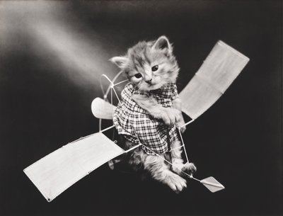 Serie Gatitos: Pilot Flying Plane, c.1914 (grabado en plata) de Harry Whittier Frees