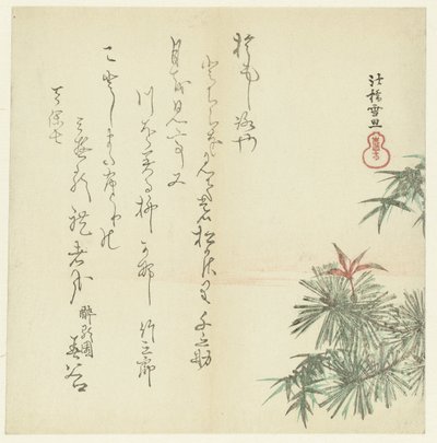 Pinos de Hasegawa Settan