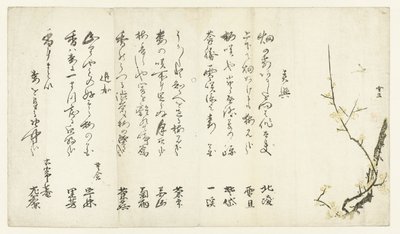 Ciruelo de Hasegawa Settan