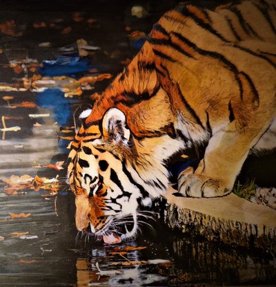 Tigre de HaskellArt