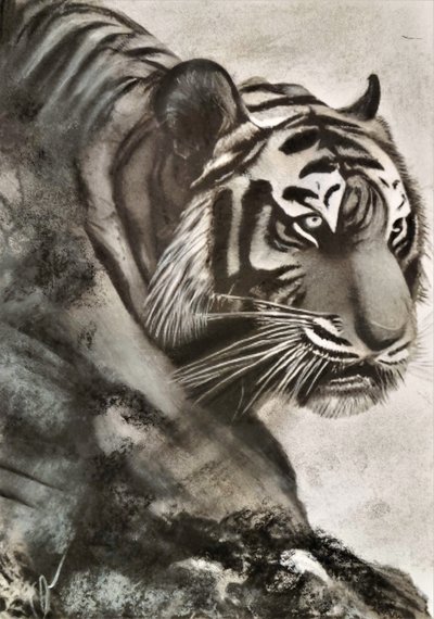 Tigres al acecho de HaskellArt